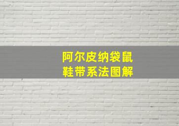 阿尔皮纳袋鼠 鞋带系法图解